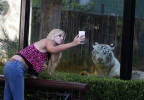 Impulsan un plan para que no haya más animales exóticos en el Zoo porteño