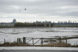 Lucha contra el cambio climático: la Argentina presentó su estrategia