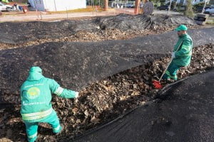 Residuos que se transforman en abono