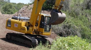La ley de bosques, cambio climático y participación ciudadana