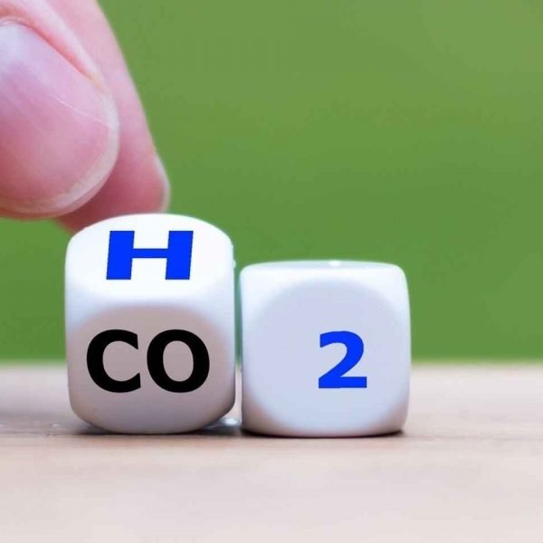 Villalonga: “Argentina puede ser parte de un futuro mercado global de hidrógeno verde”