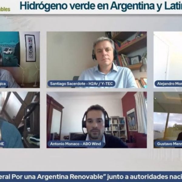 Menna instó a “deponer diferencias políticas y a pensar a largo plazo” para el desarrollo del hidrógeno verde en la Argentina