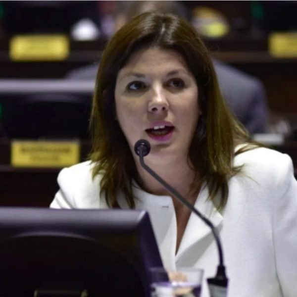 Media sanción al proyecto que adhiere a la Ley Nacional de energía renovable