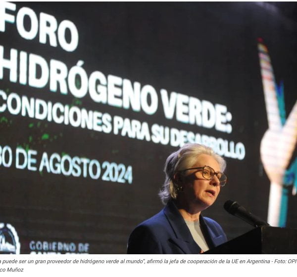 “La Argentina puede ser un gran proveedor de hidrógeno verde al mundo”, afirmó la jefa de cooperación de la UE en Argentina