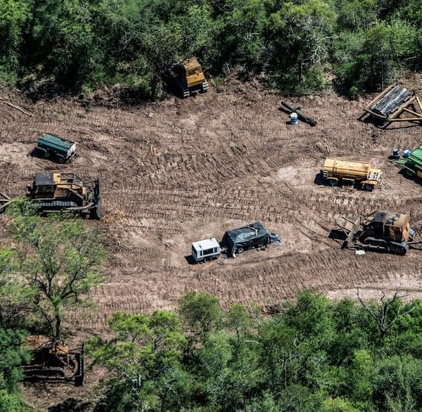 Medio ambiente: el alarmante dato que arrojó una encuesta sobre una tendencia en los jóvenes