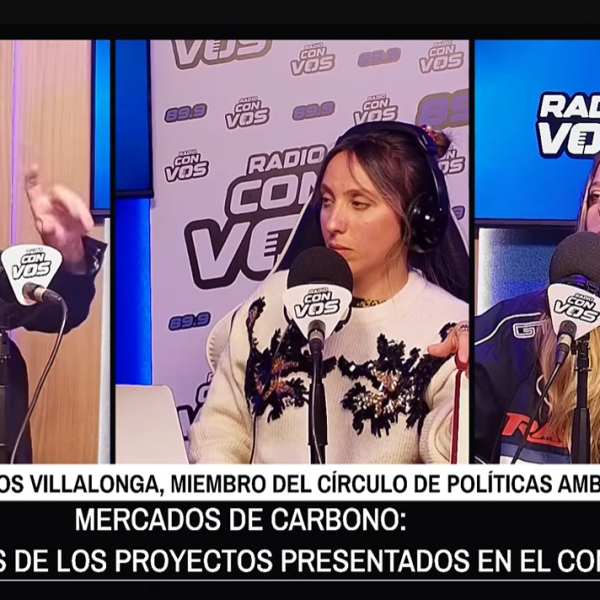 MERCADOS de CARBONO: ¿una forma de COMPENSAR el DAÑO AMBIENTAL? | VILLALONGA en YPCCA