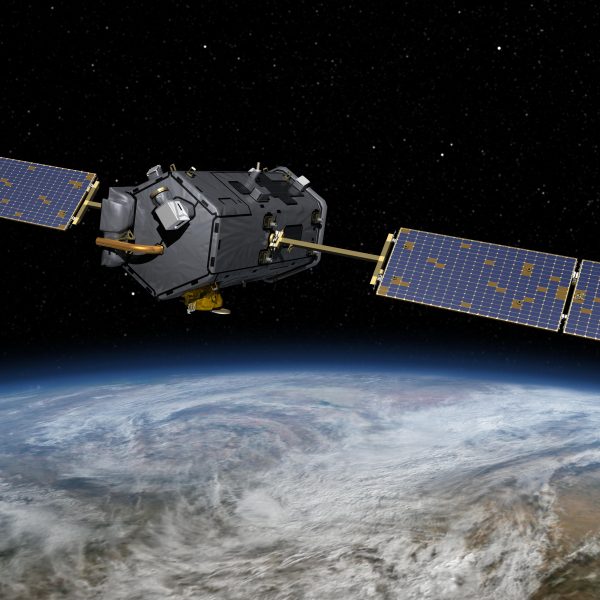 La NASA, las vacas albicelestes y el carbono